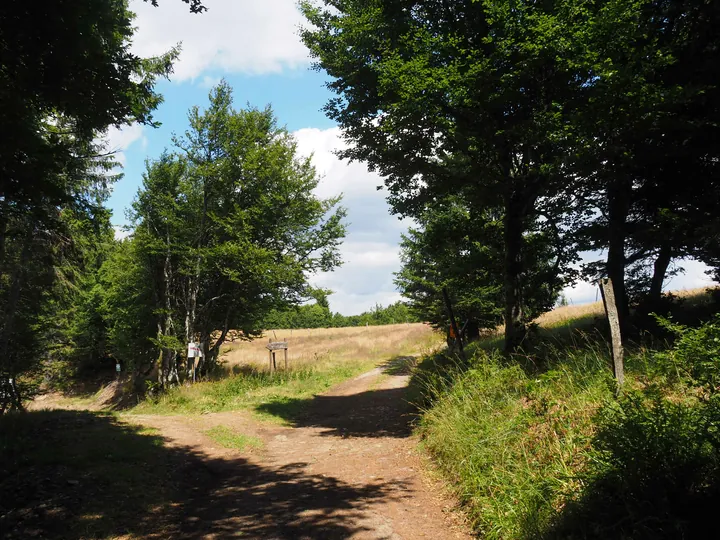 Le Grand Ballon (Frankrijk)